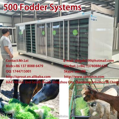 China Cattle Farm Favorite Green Organic Fodder Growing Machine for sale