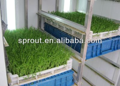 China Multifunctional Hydroponics Farm Feeding Machine for sale