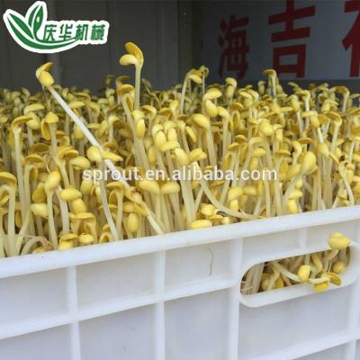 China The easy to use microgreen greenhouse equipments competitive price the growing sprouter machine bean sprout machine hot sales china suppliers for sale