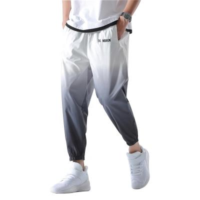 China Fashion Gradient Color Trend Breathable Pants Slim Elastic Cargo Hip Hop Pants High Street Waist Harem Pant for sale