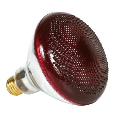 China E27 150W R125 Red Infrared R125 Lamp Burnout for sale