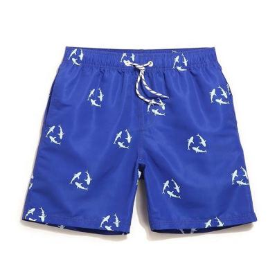 China Breathable High Quality Beach Shorts Blanket Wholesale Custom Sublimation Shorts Beach Shorts for sale