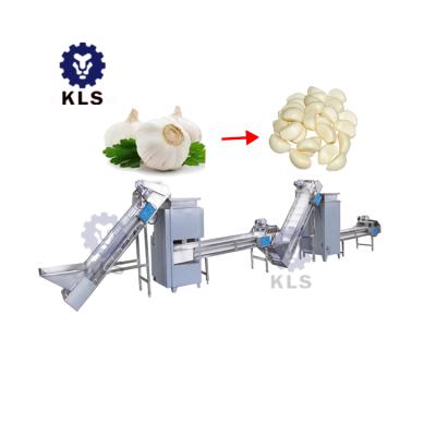 China Garlic Processing High Efficiency Commercial Small Business Garlic Peeling Machine / Garlic Production Line for sale