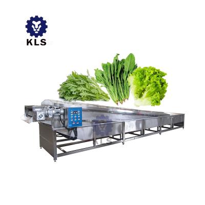 China Commercial High Pressure Fruit Vegetable KLS Vegetable and Fruit Washer Vegetable Washing Machine for sale