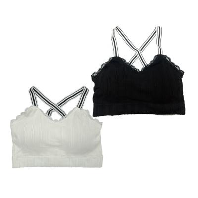 China Seamless Sports Bra Teens Stock Teens Girls Seamless Bra for sale