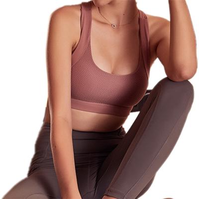 China Other Women Seamless Custom Sports Bras Fitness Sports Easy Wear Yoga Sports Bra for sale