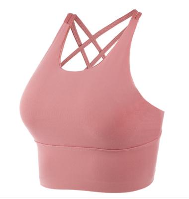 China Other Sports Sports Custom Fitness Easy Wear Women Seamless Bras Women Yoga Bra for sale