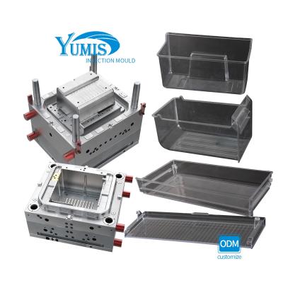 China plastic refrigerator plastic storage box injection mold/taizhou factory plastic mold for sale