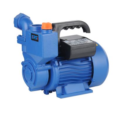 China Family Houses Best Price High Quality Peripheral Pump for Home Use 0.5hp 1hp for sale