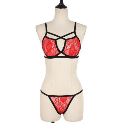 China QUICK DRY Trending Hot Products Underwear Set Fashionable And Exquisite Ladies Lace Up Underwear Set for sale