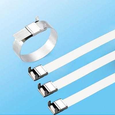 China Electrical Applications Stainless Steel Cable Tie-Wing Lock Type for sale