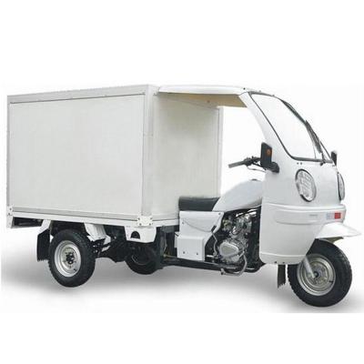 China Popular Cargo 200cc 250cc 300cc Three Wheel Motorcycle Gasoline Trimoto for sale