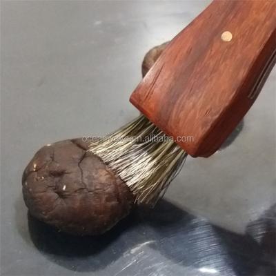 China Latest Design Multi Functional Brush Handle Stainless Steel Blade Mushroom Wood Knife for sale