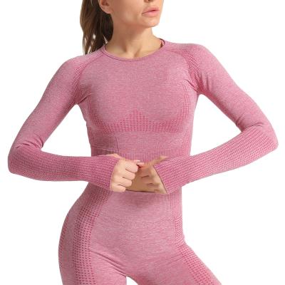 China Breathable Wholesale Fitness Yoga Wear 5 PCS Seamless Workout Women Gym Sets for sale