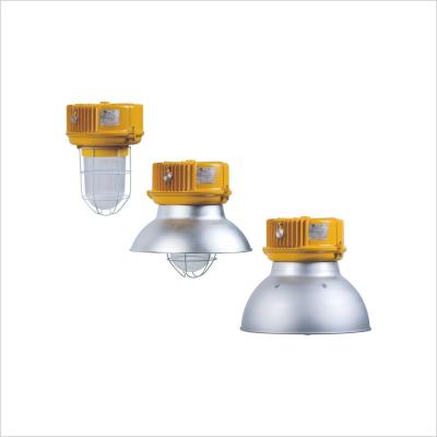 China BnD81 Series Pendant Light Fittings Explosion Proof IP65 With ATEX IECEx Certification for sale