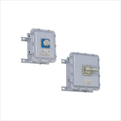 China BLK Series Explosion Proof Motor Switches (Ex D IIB) 16A 32A 63A 1P 2P 3P 4Pole for sale