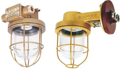 China CCD9-5 Marine Cabin Exterior Light Cabin Pendant Lighting Hanging Explosion Proof for sale