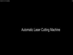 Automatic Laser Cutting Machine