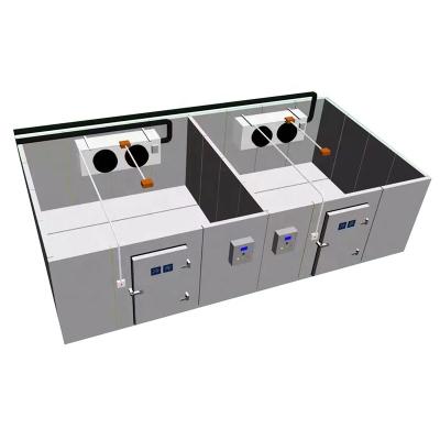 China Refrigerator Cold Room Walk In Refrigerator For Industrial Freezer for sale