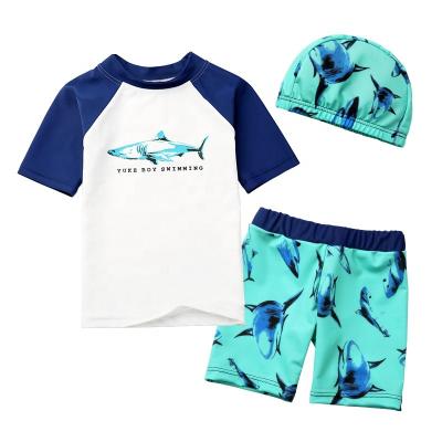 China Fashion Baby Boy Swimwear Kids Anti-Shrink Swimwear Kids 3 Piece Set for sale