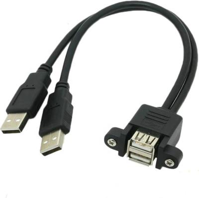 China Dual Port Type A Extension MP3/MP4 Player Panel Mount USB 2.0 Cable for sale