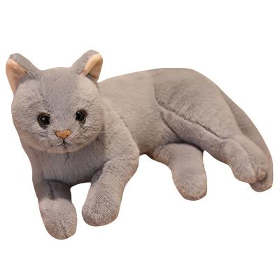 China Hot Cat Plush Toy Stuffed Animals Cat Baby Gift Soft Toy Selling Simulation Plush Toy for sale