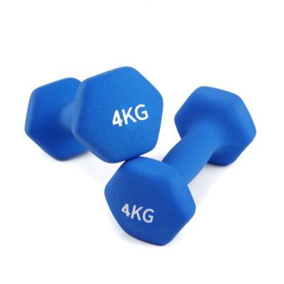 China Universal Cast Iron Fitness Equipment Round Head Rubber Dumbell / Rubber Hex Dumbbell for sale