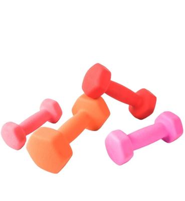 China Universal Gym 10kg Power Training Equipment Rubber Coated Cast Steel Weights Dumbells In Pounds Hex Rubber Dumbbells Sets 40kg for sale