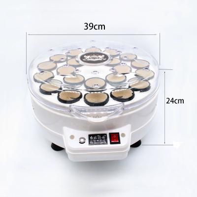 China Electronic Automatic Plastic And Metal Snooker Billiard Balls Washing Cleaning Machine for sale