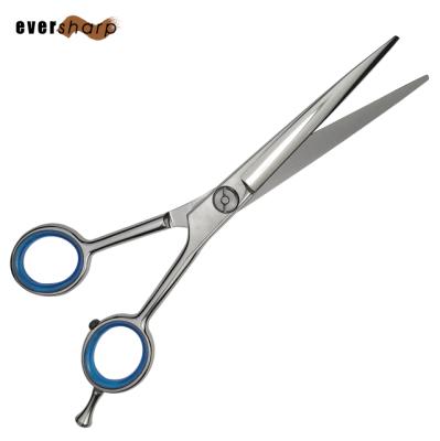 China 5.5 Inch Professional Handcrafted Straight Scissors Hair Cutting Scissors for sale