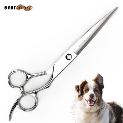 China Viable Made in Taiwan Japanese Steel Professional Pet Grooming Scissors for sale