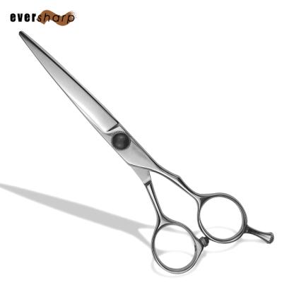 China Professional Handcrafted Barber Scissors 6 Inch Sharp Straight Scissors for sale