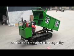 Durable Fashion 0.5-6T Engine Capacity Tracked Mini Dumper Transporter