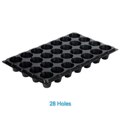 China 28 Hole Black Agriculture Plastic Trays Aging Resistance For Planting Vegetable for sale