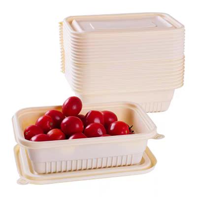 China Takeout Fast Food Biodegradable Container Environmentally Friendly Bowls With Lid for sale