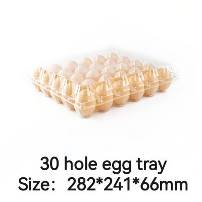 China Transparent Plastic Egg Packaging 30 Holes Large Disposable Bulk Plastic Egg Cartons for sale