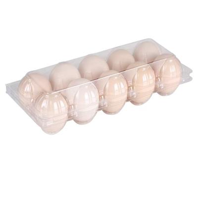 China Hinged Clamshell Clear Plastic Egg Tray 10 Holes PET Compression Resistance for sale