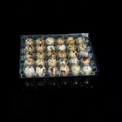 China Hinged Plastic Egg Packaging Blister Clamshell 30 Hole Transparent Quail Egg Tray for sale