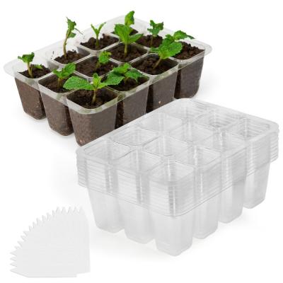 China 12 agujeros bandeja de siembra transparente de PP/PET bandeja de plantación biodegradable negra reutilizable en venta