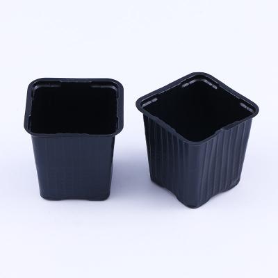 中国 パーソナライズされた真空形成された黒いPP PSプラスチックプラント 植え付けポット盆 植え付け 庭園保育トレイ 販売のため