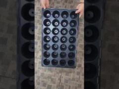 28 cell plastic black seedling tray