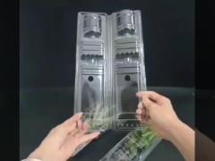 clamshell packaging for plant