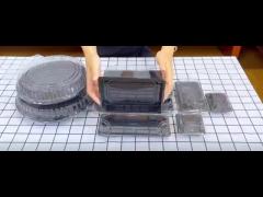 plastic sushi box