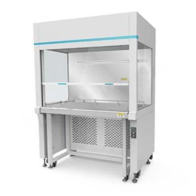 China Hospital/laboratory design professional double/clean bench laminar flow insulated hood single side flow for sale