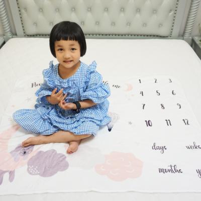 China Free Sample 2 Design Baby Plush Thicker Layers Sherpa Minky Milestone Newborn Blanket Flannel Boys Girls Months Unisex Fleece Blanket for sale