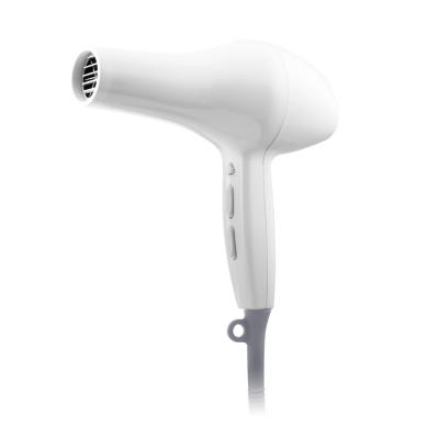 China Hot and cold outdoor multi functional powerful hair dryer are especially used for family hotel salon for sale