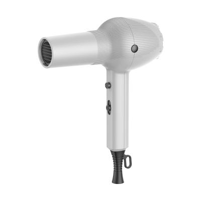 China 1800W Professional Ionic Hair Dryer Private Label High Quality Multifunctional Hair Dryer for sale