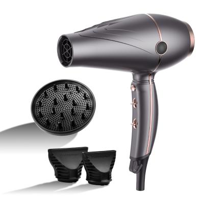 China Outdoor Premium 2000W Professional Salon Hair Dryer For Travel Home Hotel for sale