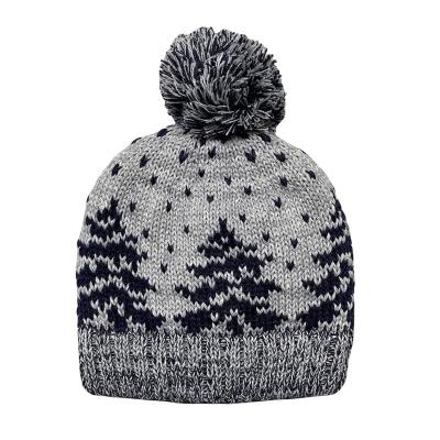 China Cozy Winter Striped Jacquard Beanie Hat by COMMON Soft for sale