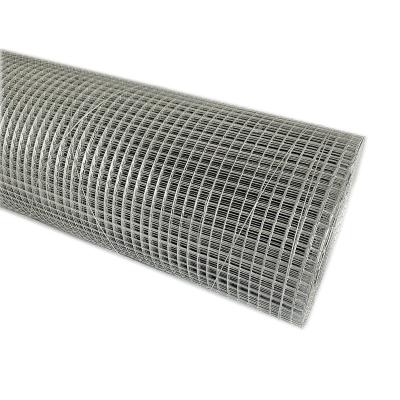 China Traditional Welded Wire Mesh Galvanized 6x6mm Diameter 23 Gauge Hop Dipped Galvanized Hardware Cloth 1/4